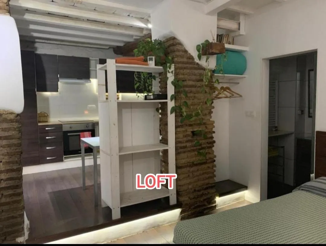 Loft Increible En El Centro Apartment Granada